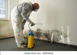 Why You Should Choose Our Mold Remediation Services in Barnum Island, NY